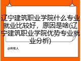 辽宁建筑职业学院什么专业就业比较好，原因是啥(辽宁建筑职业学院优势专业就业分析)