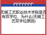 无锡工艺职业技术学院是否有双学位，为什么(无锡工艺双学位原因)