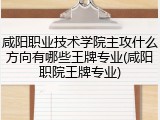 咸阳职业技术学院主攻什么方向有哪些王牌专业(咸阳职院王牌专业)