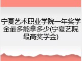 宁夏艺术职业学院一年奖学金最多能拿多少(宁夏艺院最高奖学金)