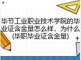 毕节工业职业技术学院的毕业证含金量怎么样，为什么(毕职毕业证含金量)