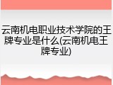 云南机电职业技术学院的王牌专业是什么(云南机电王牌专业)