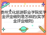 贵州文化旅游职业学院奖学金评定细则是怎样的(奖学金评定细则)