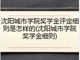 沈阳城市学院奖学金评定细则是怎样的(沈阳城市学院奖学金细则)