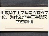 山东华宇工学院是否有双学位，为什么(华宇工学院双学位原因)