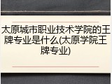 太原城市职业技术学院的王牌专业是什么(太原学院王牌专业)