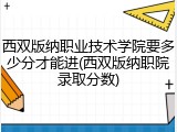 西双版纳职业技术学院要多少分才能进(西双版纳职院录取分数)