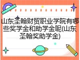 山东圣翰财贸职业学院有哪些奖学金和助学金呢(山东圣翰奖助学金)