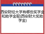 西安财经大学有哪些奖学金和助学金呢(西安财大奖助学金)