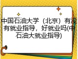 中国石油大学（北京）有没有就业指导，好就业吗(中石油大就业指导)