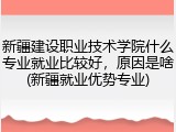 新疆建设职业技术学院什么专业就业比较好，原因是啥(新疆就业优势专业)