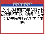 辽宁民族师范高等专科学校就读期间可以申请哪些奖学金(辽宁民族师范奖学金申请)