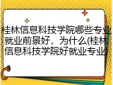 桂林信息科技学院哪些专业就业前景好，为什么(桂林信息科技学院好就业专业)