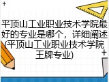 平顶山工业职业技术学院最好的专业是哪个，详细阐述(平顶山工业职业技术学院王牌专业)