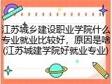 江苏城乡建设职业学院什么专业就业比较好，原因是啥(江苏城建学院好就业专业)