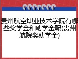 贵州航空职业技术学院有哪些奖学金和助学金呢(贵州航院奖助学金)