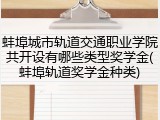 蚌埠城市轨道交通职业学院共开设有哪些类型奖学金(蚌埠轨道奖学金种类)