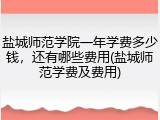盐城师范学院一年学费多少钱，还有哪些费用(盐城师范学费及费用)
