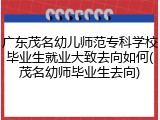 广东茂名幼儿师范专科学校毕业生就业大致去向如何(茂名幼师毕业生去向)