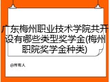 广东梅州职业技术学院共开设有哪些类型奖学金(梅州职院奖学金种类)