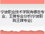 宁波职业技术学院有哪些专业，王牌专业分析(宁波职院王牌专业)