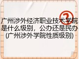 广州涉外经济职业技术学院是什么级别，公办还是民办(广州涉外学院性质级别)
