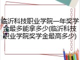 临沂科技职业学院一年奖学金最多能拿多少(临沂科技职业学院奖学金最高多少)