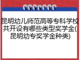 昆明幼儿师范高等专科学校共开设有哪些类型奖学金(昆明幼专奖学金种类)