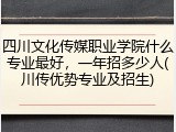 四川文化传媒职业学院什么专业最好，一年招多少人(川传优势专业及招生)
