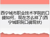 西宁城市职业技术学院的口碑如何，现在怎么样了(西宁城职院口碑现状)
