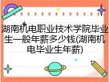 湖南机电职业技术学院毕业生一般年薪多少钱(湖南机电毕业生年薪)
