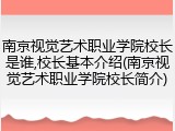 南京视觉艺术职业学院校长是谁,校长基本介绍(南京视觉艺术职业学院校长简介)