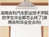 湖南吉利汽车职业技术学院的学生毕业都怎么样了(湖南吉利毕业生去向)