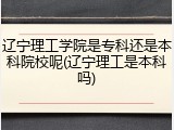 辽宁理工学院是专科还是本科院校呢(辽宁理工是本科吗)