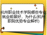 杭州职业技术学院哪些专业就业前景好，为什么(杭州职院优势专业解析)