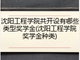 沈阳工程学院共开设有哪些类型奖学金(沈阳工程学院奖学金种类)