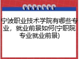 宁波职业技术学院有哪些专业，就业前景如何(宁职院专业就业前景)