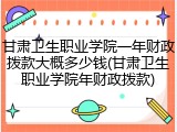 甘肃卫生职业学院一年财政拨款大概多少钱(甘肃卫生职业学院年财政拨款)