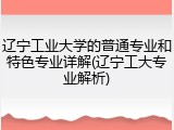 辽宁工业大学的普通专业和特色专业详解(辽宁工大专业解析)