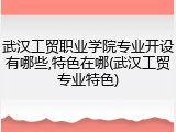 武汉工贸职业学院专业开设有哪些,特色在哪(武汉工贸专业特色)