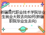 新疆现代职业技术学院毕业生就业大致去向如何(新疆职院毕业生去向)