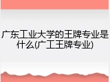 广东工业大学的王牌专业是什么(广工王牌专业)