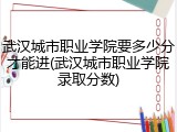 武汉城市职业学院要多少分才能进(武汉城市职业学院录取分数)