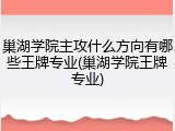巢湖学院主攻什么方向有哪些王牌专业(巢湖学院王牌专业)