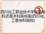 四川化工职业技术学院是专科还是本科院校呢(四川化工是专科院校)