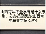 山西青年职业学院是什么级别，公办还是民办(山西青年职业学院 公办)