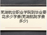 芜湖航空职业学院到毕业要花多少学费(芜湖航院学费多少)