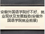 安徽外国语学院好不好，就业现状及发展趋势(安徽外国语学院就业前景)