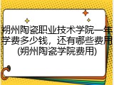 朔州陶瓷职业技术学院一年学费多少钱，还有哪些费用(朔州陶瓷学院费用)