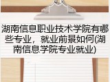 湖南信息职业技术学院有哪些专业，就业前景如何(湖南信息学院专业就业)